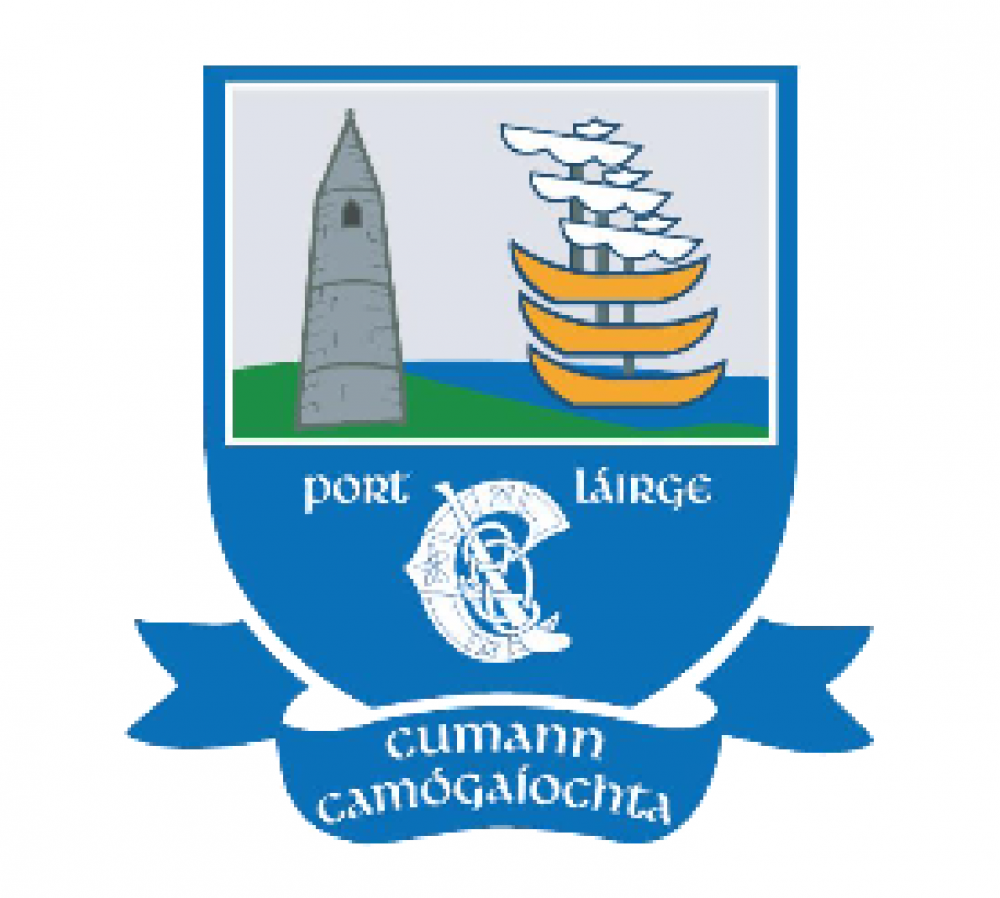 Waterford Camogie 